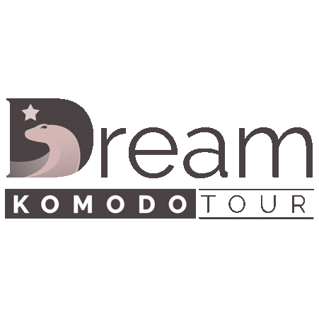 At Dream Komodo Tour, we design exclusive tours to Komodo for enlivening experiences of cruising, swimming, sun bathing, snorkeling, and more. Visit us online today!  visit us-https://dreamkomodotour.com/