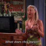 friends---phoebe-what-does-this-mean