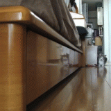 gifs_206