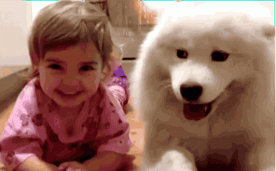 girl-and-dog-gif.gif