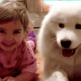 girl-and-dog-gif