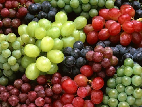 grapes-05.jpg