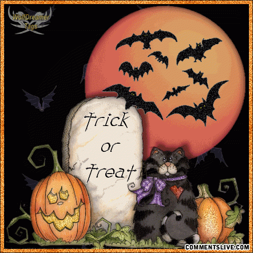 halloween-cat-001_zps15c7c44d.gif