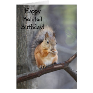 happy_belated_birthday_squirrel_greeting_card-rff577d4acfd64de6982ae591afefda49_xvuat_8byvr_324.jpg