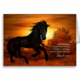 happy_birthday_horse_in_the_sunset_cards-r1bc3a0d224b34f35a2db22b15aae2d59_xvuak_8byvr_512_zpsvmsqynmb