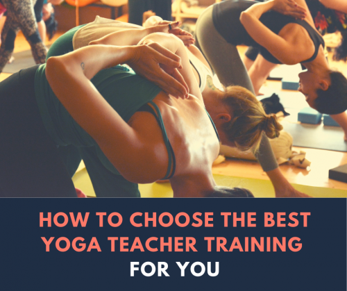 Visit at Arhanta Yoga Ashram and choose yoga teacher training from our experienced and knowledgeable yoga teacher. We impart the best knowledge on yoga and you can also become a certified yoga teacher.  https://www.arhantayoga.org/blog/how-to-choose-the-best-yoga-teacher-training-for-you/
