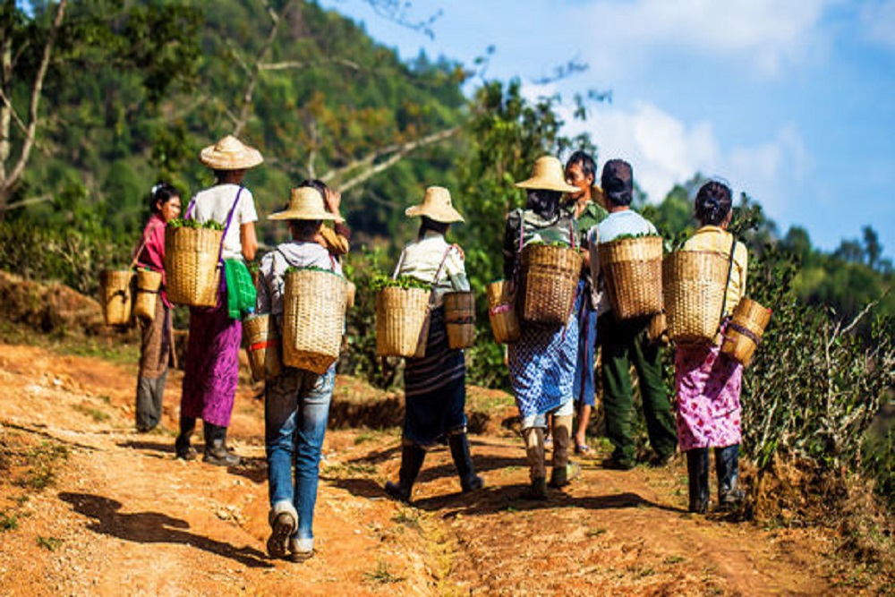 Kyukme tribe trek