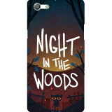 large_0202_461nightinthewoods.psdoppof1s