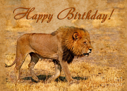 lion-happy-birthday-sergey-korotkov_zpsce42aac6.jpg