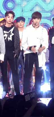 niel0955.gif