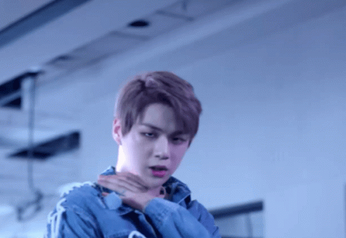 niel1824.gif