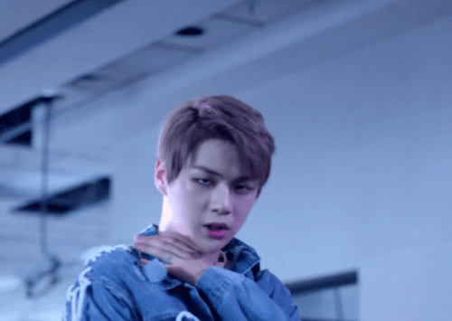 niel3750.gif