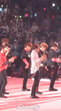 niel4046.gif