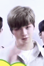 niel4722.gif