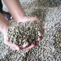 nusantara.coffee.070.jpg