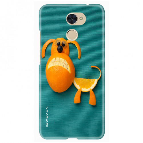 orangePuppy60c2c.jpg