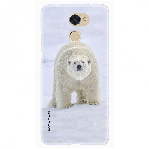 polar bear