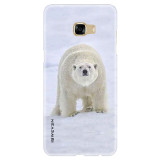 polarbear36176