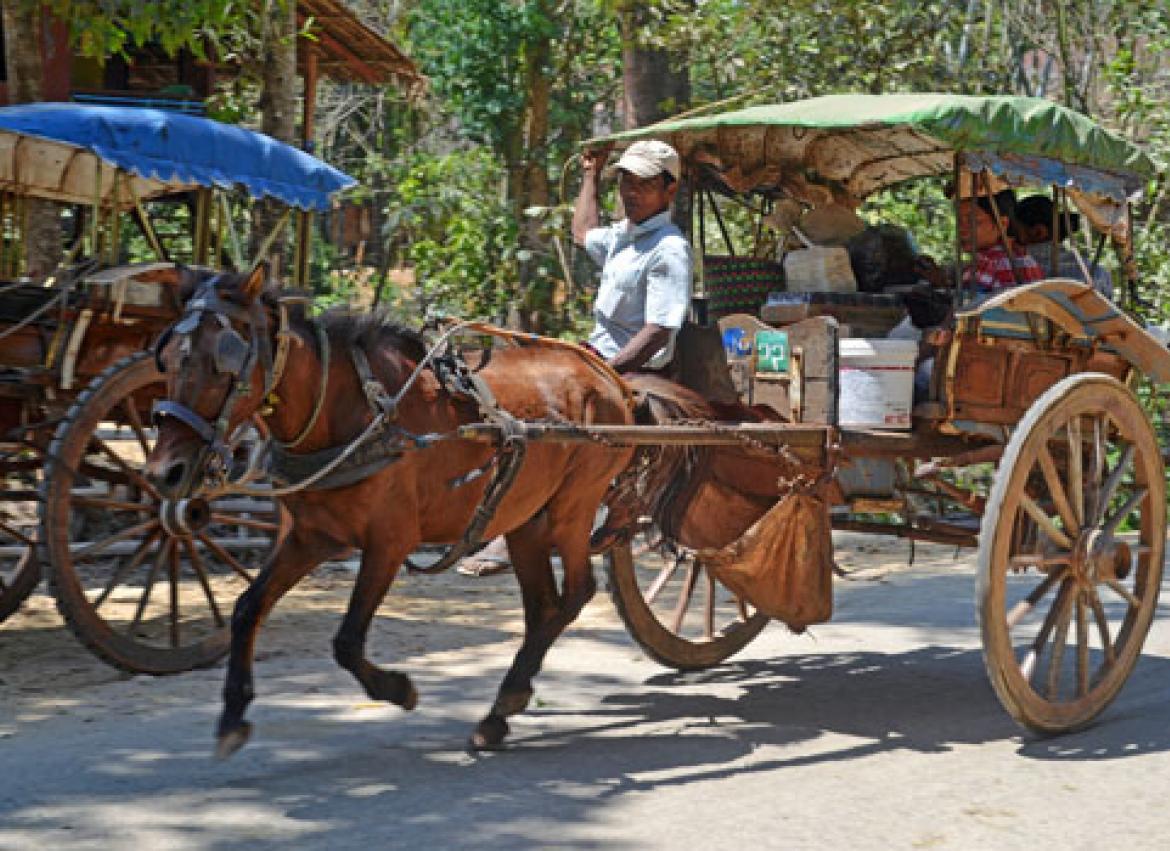 horse cart