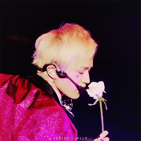 pp51.gif