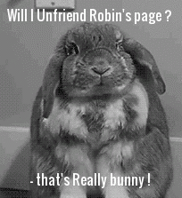 really bunny