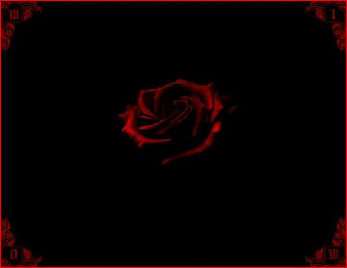 rose.jpg
