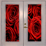 rrdoor