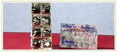 shakti-37.jpg