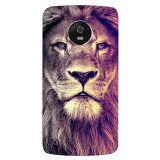 small_0000_259-lion-attitude.psdMoto-G5