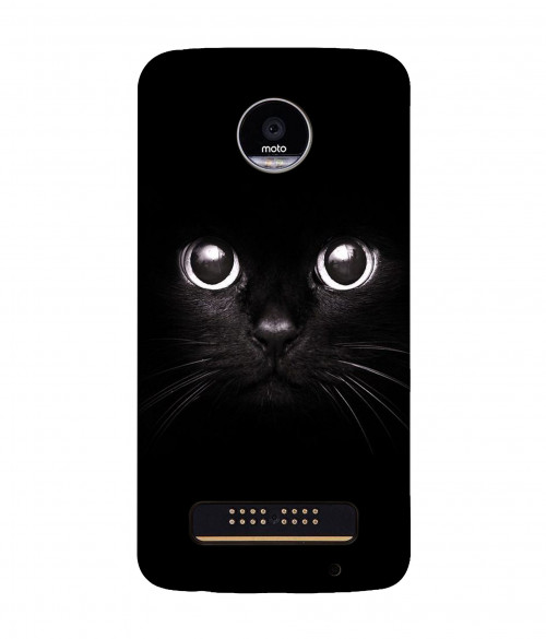 small_0001_260-dark-cat.psdmoto-z-play.jpg