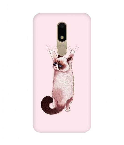 small 0104 363 hanging cat.psdMoto M