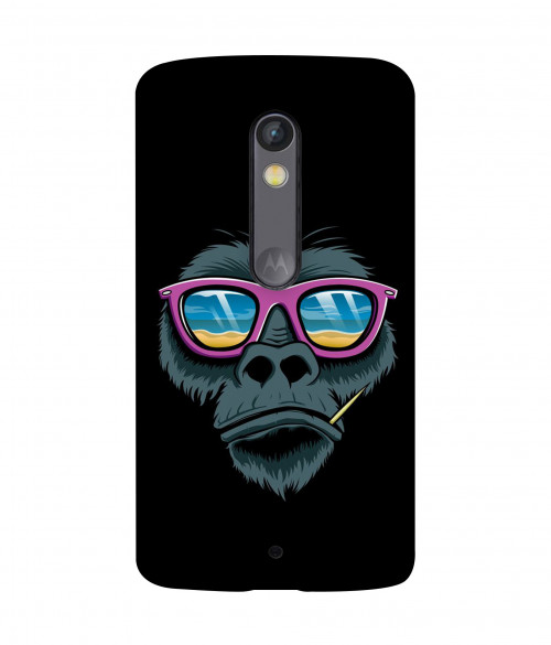 small_0162_421-the-stylish-monkey.psdmoto-x-play.jpg