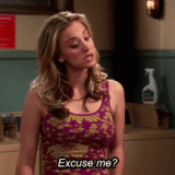 tbbt---excuse-me-penny
