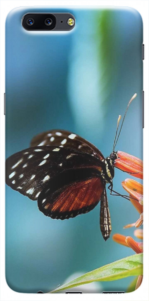 text 720x1280 mobile wallpapers butterfly.jpg