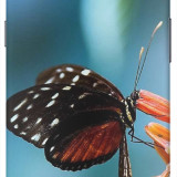 text_720x1280-mobile-wallpapers-butterfly2ac88
