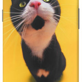 text_720x1280-wallpapers-for-android-yellow-curious-cat09637