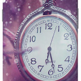 text_ws_Pocket_Watch_Macro_720x1280