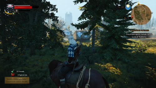 witcher32015-05-1918-31-19-30.png