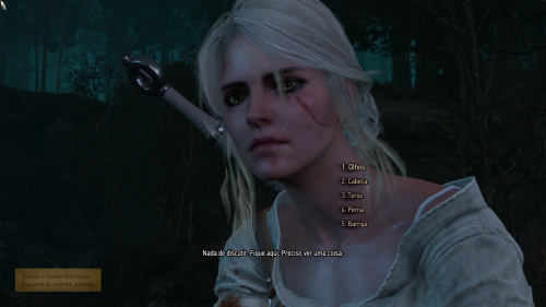 witcher32015-05-2018-44-17-75.png