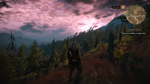 witcher32015-05-2217-47-50-88.png