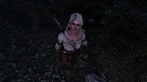 witcher3_2015_07_14_14_15_07_289.png