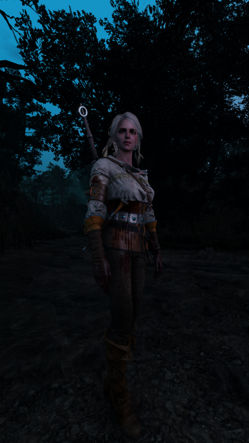 witcher3_2015_07_14_14_20_40_343.png