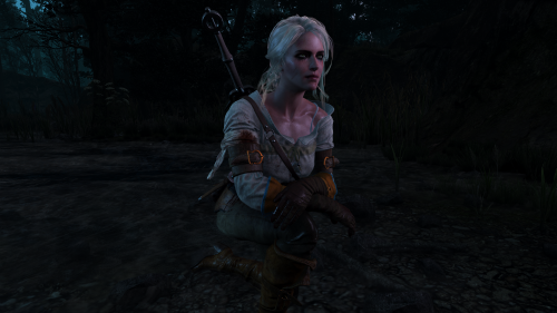 witcher3_2015_07_14_14_23_38_099.png