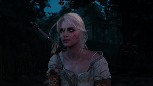 witcher3_2015_07_14_14_25_35_691.png