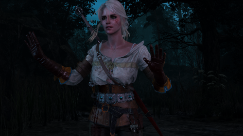 witcher3_2015_07_14_14_30_13_816.png