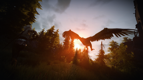 witcher3_2015_07_14_15_11_16_311.png