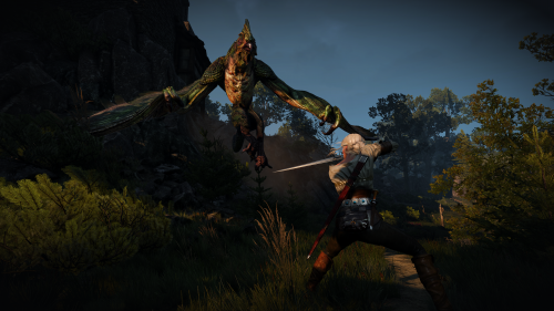 witcher3_2015_07_14_15_16_16_074.png
