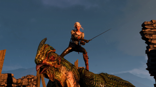 witcher3_2015_07_14_16_49_10_974.png