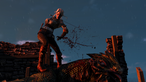 witcher3_2015_07_14_16_54_23_123.png