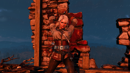 witcher3_2015_07_14_16_58_29_647.png